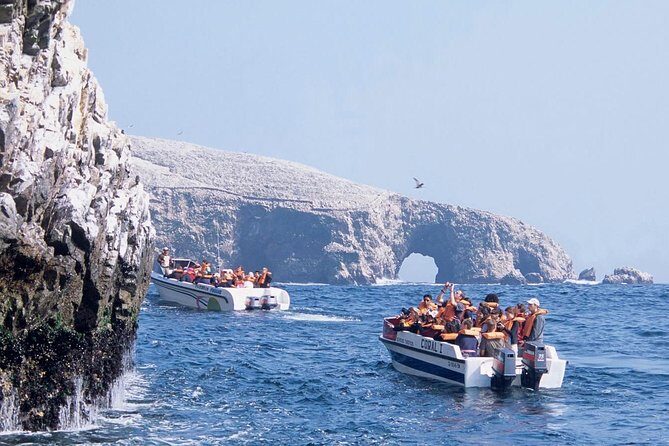 Swimming with Sea Lions in Lima - The Experience in Detail