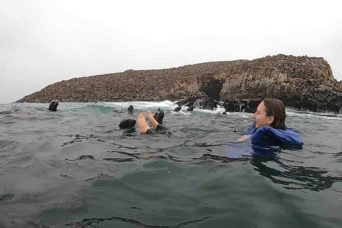 Swimming with Sea Lions in Lima - Authentic Experiences and What Travelers Say