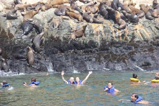 Swimming with Sea Lions in Lima - FAQ