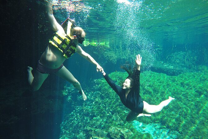 Swimming with turtles, 2 cenotes & gopro - The Sum Up