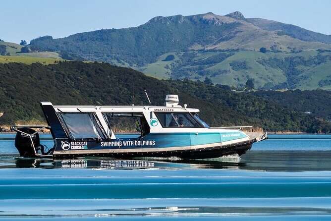 Swimming with Wild Dolphins in Akaroa - Frequently Asked Questions