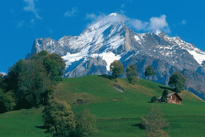 Swiss Alps: Interlaken and Grindelwald Day Trip from Zurich - Final Thoughts: Is It Worth It?