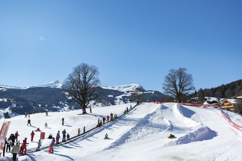 Swiss Ski Experience in the Jungfrau Region - Frequently Asked Questions