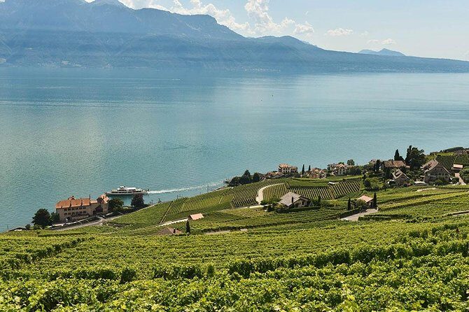 Swiss Wine Tasting at Lavaux Vineyards: Private Trip from Geneva - Visiting Wineries and Learning About Swiss Winemaking