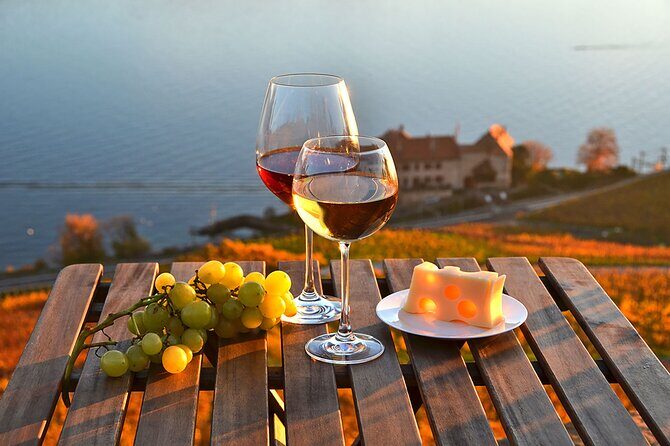 Swiss Wine Tasting at Lavaux Vineyards: Private Trip from Geneva - What’s Not Included?