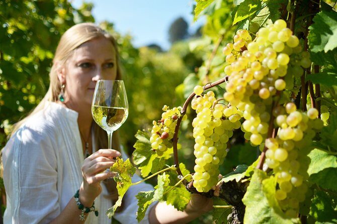 Swiss Wine Tasting at Lavaux Vineyards: Private Trip from Geneva - FAQ
