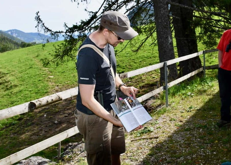 Switzerland: Private nature safari with local guide. Discover the Alps, lakes, and more. - What You Can Expect During the Tour