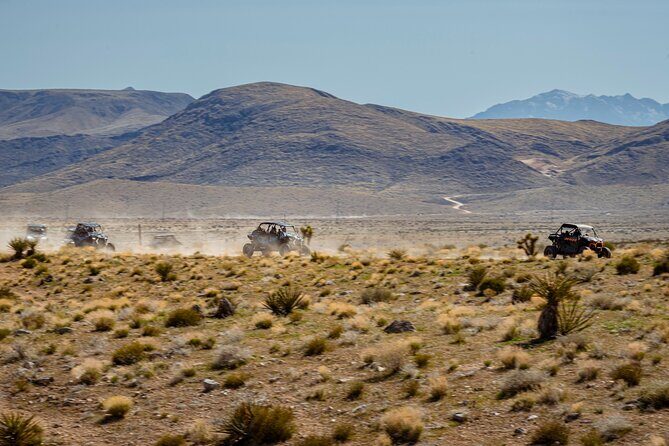 SXS Tour W/ A Stop at Pioneer Saloon Goodsprings in Las Vegas - Key Points