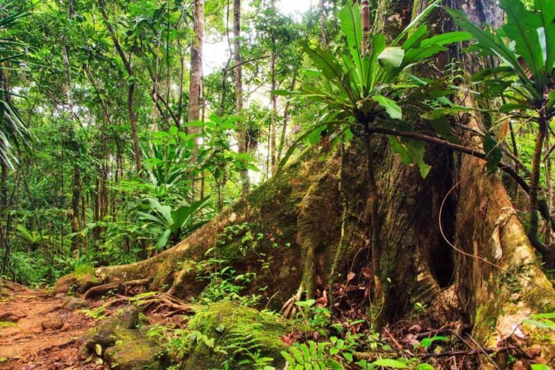 Sydney: 2-Day Private Tour to Blue Mountains and Kiama - Final Thoughts: Who Should Consider This Tour?