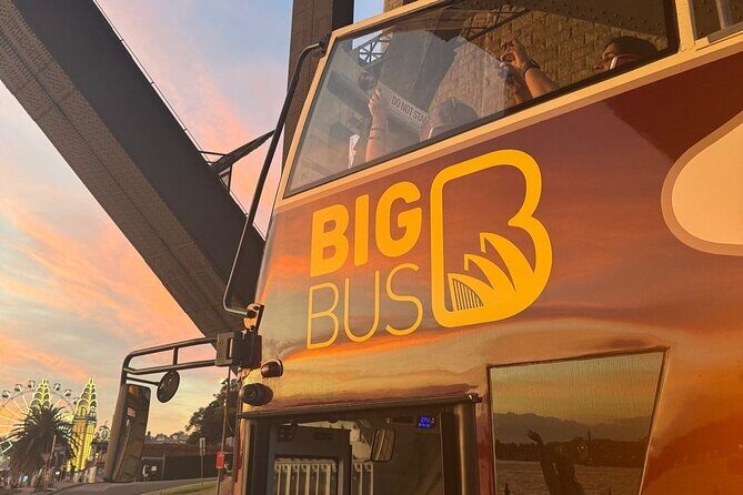 Sydney: 90-Minute Panoramic Big Bus Night Tour - The Sum Up