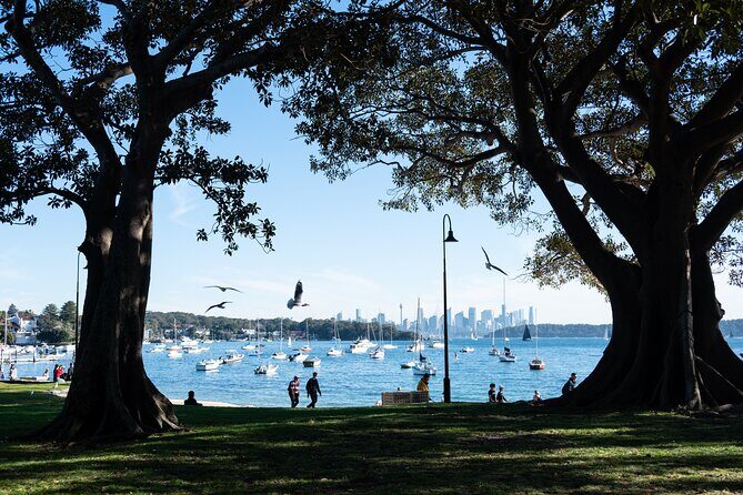 Sydney Airport Transfer with Manly & Harbour Highlights - An In-Depth Look at the Tour Experience