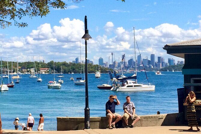 Sydney Beaches Half Day Drive and Walk Tour - Who Should Consider This Tour
