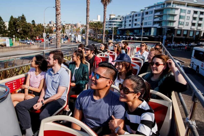 Sydney: Big Bus Hop-On Hop-Off Tour with Optional Cruise - The Experience on the Ground: Buses, Guides, and Accessibility