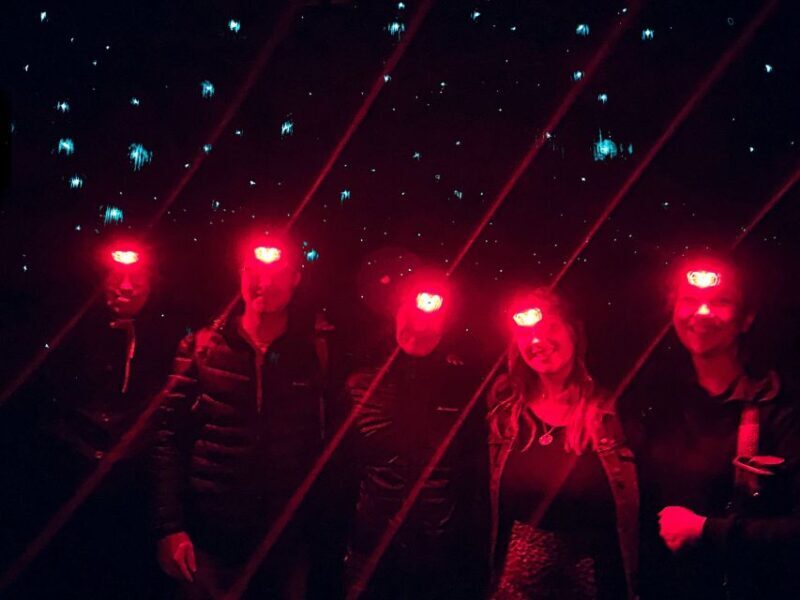 Sydney: Blue Mountains Glow Worms Wild Adventure by Night - A Deep Dive into the Blue Mountains Glow Worms Night Tour