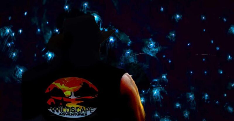 Sydney: Blue Mountains Glow Worms Wild Adventure by Night - FAQ