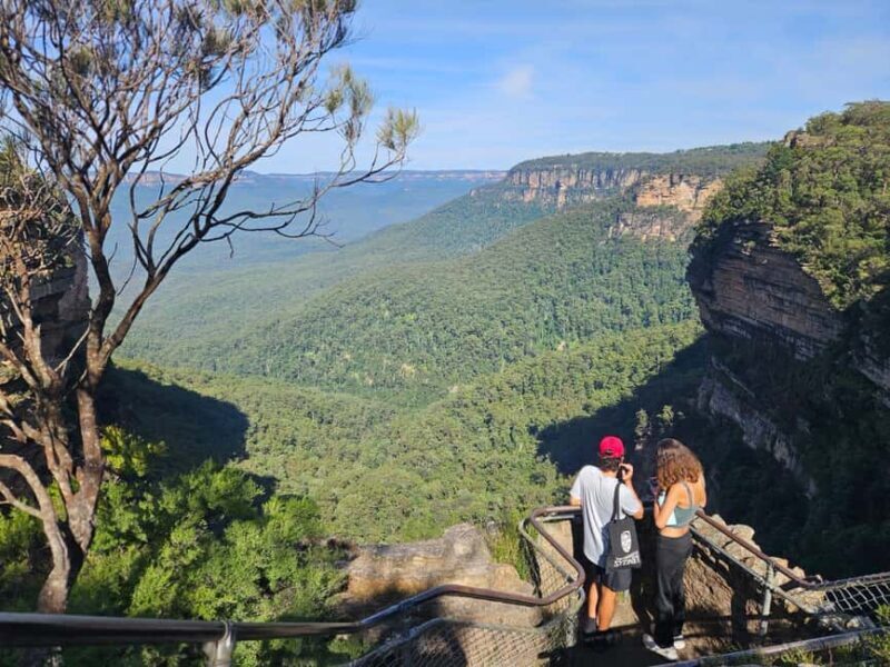 Sydney: Blue Mountains Guided Hike with Lunch & Pickup - Exploring the Blue Mountains: A Guided Hike from Sydney