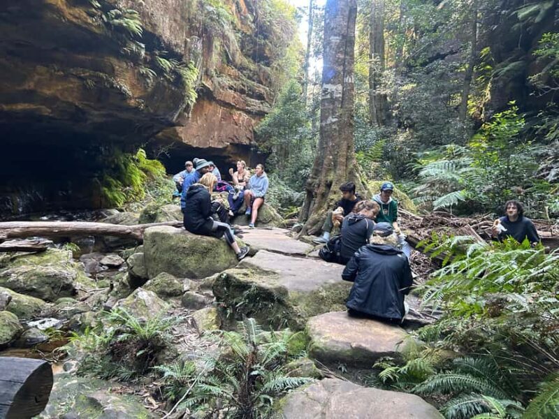 Sydney: Blue Mountains Guided Hike with Lunch & Pickup - Key Points