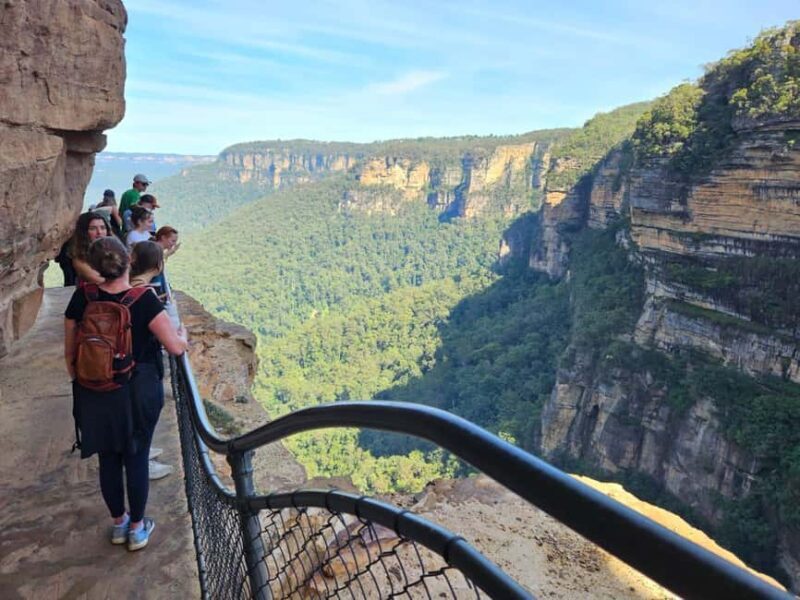 Sydney: Blue Mountains Guided Hike with Lunch & Pickup - Who Should Consider This Tour?