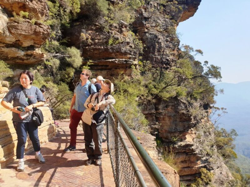 Sydney: Blue Mountains Late Start, Walks Waterfalls & Koalas - Value for Money