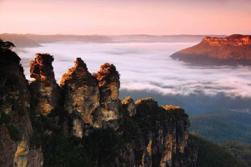 Sydney: Blue Mountains National Park Tour with River Cruise - The Guides: The Heart of the Experience