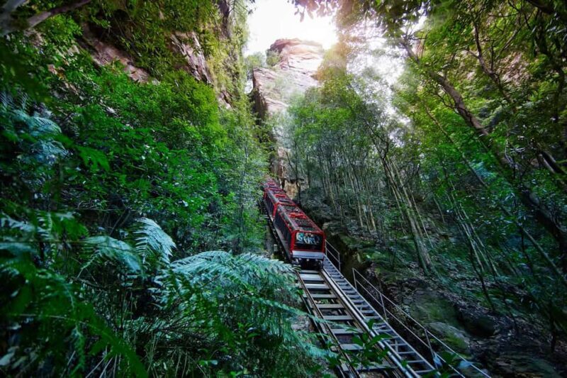 Sydney: Blue Mountains National Park Tour with River Cruise - Who Should Take This Tour?