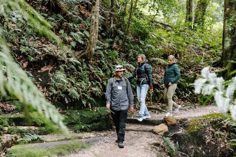 Sydney: Blue Mountains Tour with Wildlife Park & Waterfalls - Exploring the Blue Mountains: A Day Trip Worth Your Time