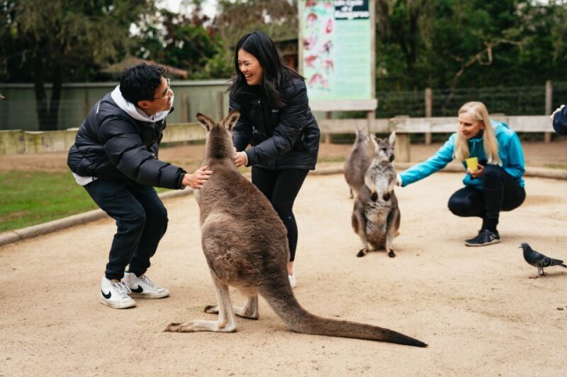 Sydney: Blue Mountains Wildlife & Bushwalk Small-Group Tour - A Deep Dive into the Blue Mountains Small-Group Tour
