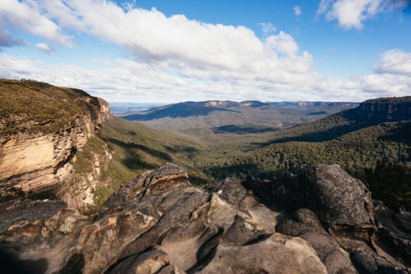 Sydney: Blue Mountains Wildlife & Bushwalk Small-Group Tour - Wrapping It Up