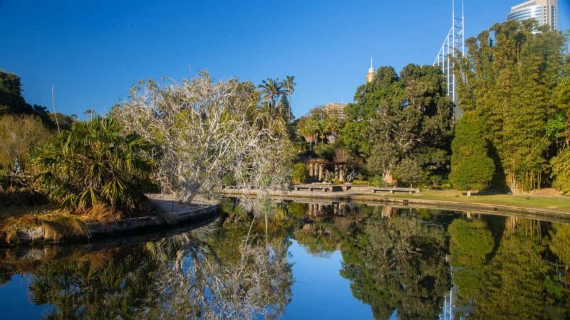 Sydney: Bondi Beach, Opera House & Sydney City Private Tour - FAQ