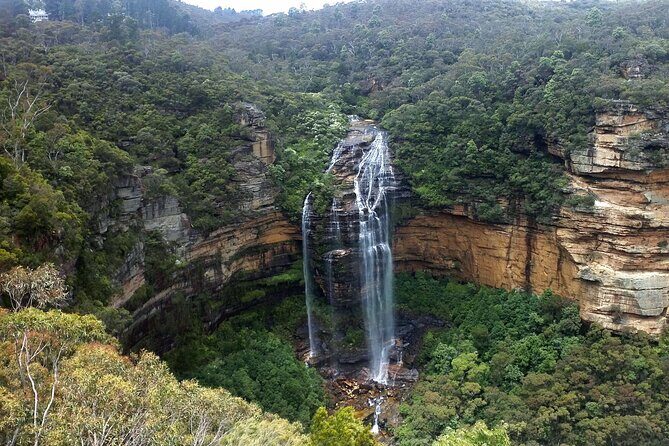 Sydney City and Blue Mountains in One Day Private Tour - Exploring the Sydney City and Blue Mountains Experience