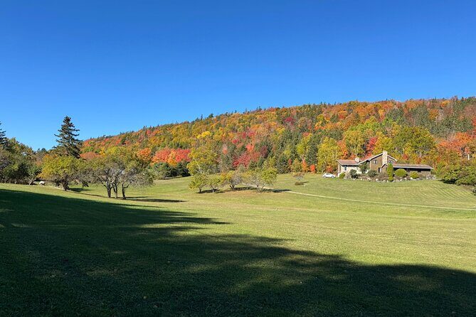 Sydney City Coastline and Blackett's Lake Tour - Discovering Sydney’s Coastline and Blacketts Lake: A Practical Review