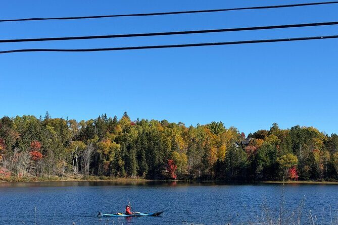 Sydney City Coastline and Blackett's Lake Tour - A Deep Dive Into the Sydney City Coastline and Blacketts Lake Tour