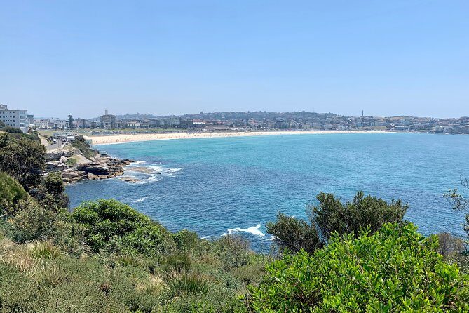 Sydney City, Harbour & Bondi Private Tour, with Airport pick up or drop off - An In-Depth Look at the Sydney Private Tour