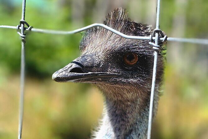 Sydney City Roots and Wildlife Trails of Cape Breton Island - FAQ