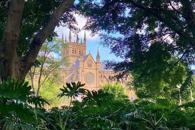 Sydney City Walking Tour - Sydney City Walking Tour: A Deep Dive into the Heart of Australia’s Most Iconic City