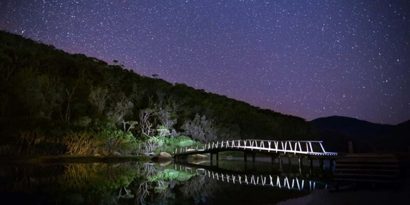Sydney Coastal Highlights and Ferry Ride Half Day Tour - Who Should Consider This Tour?