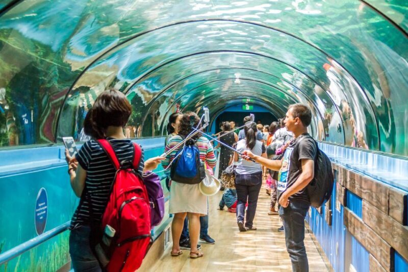 Sydney: Combo Pass for 2, 3, or 4 Top City Attractions - Exploring the Sydney Combo Pass in Detail