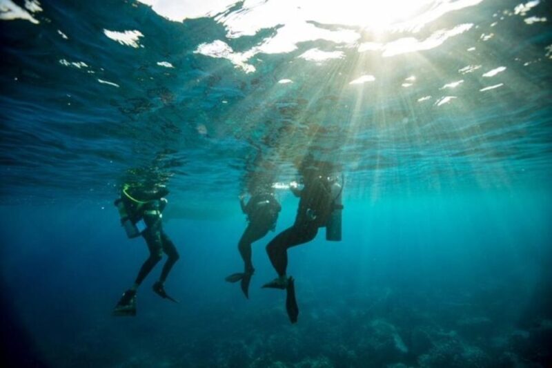 Sydney: Discover Scuba Dive at Australia's most Iconic Beach - Detailed Breakdown of the Itinerary