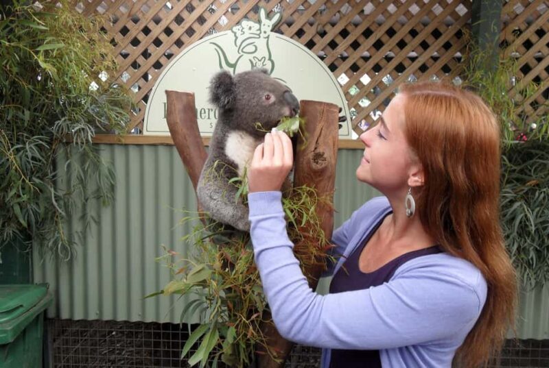 Sydney: Featherdale Wildlife Park Private Tour - What to Expect from the Tour