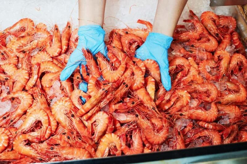 Sydney: Fish Market Food Tour - A Closer Look at the Sydney Fish Market Food Tour