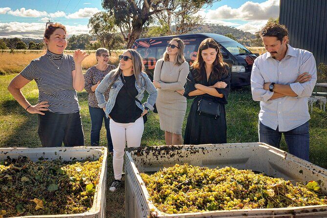 Sydney Grains and Grapes Hunter Valley Wine and Beer with Lunch - An Authentic and Delicious Day in Hunter Valley