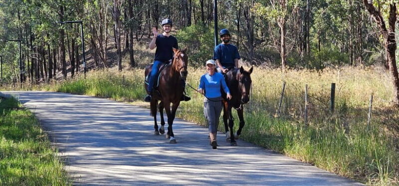 Sydney: Guided 2-Hour Horseback Picnic Tour - Key Points