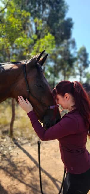 Sydney: Guided 2-Hour Horseback Picnic Tour - In The Sum Up
