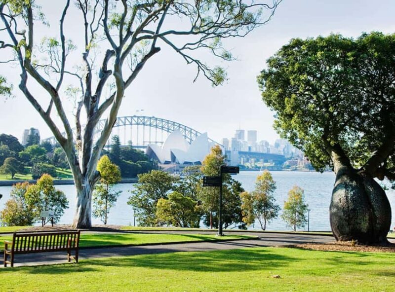 Sydney: Guided Hike with Picnic Lunch and Painting Session - Key Points