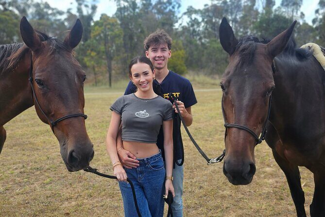 Sydney Guided Horse Ride Picnic - Key Points