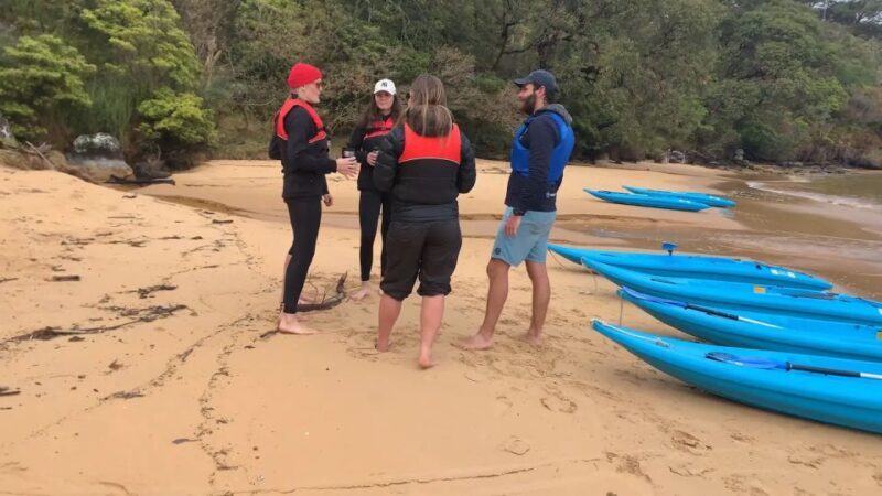 Sydney: Guided Kayak Tour of Manly Cove Beaches - Frequently Asked Questions (FAQ)