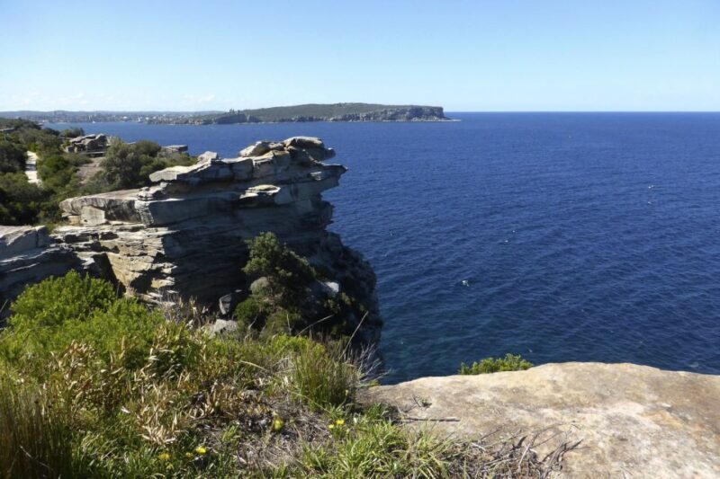 Sydney: Half-Day City Tour - Authentic Insights from Travelers