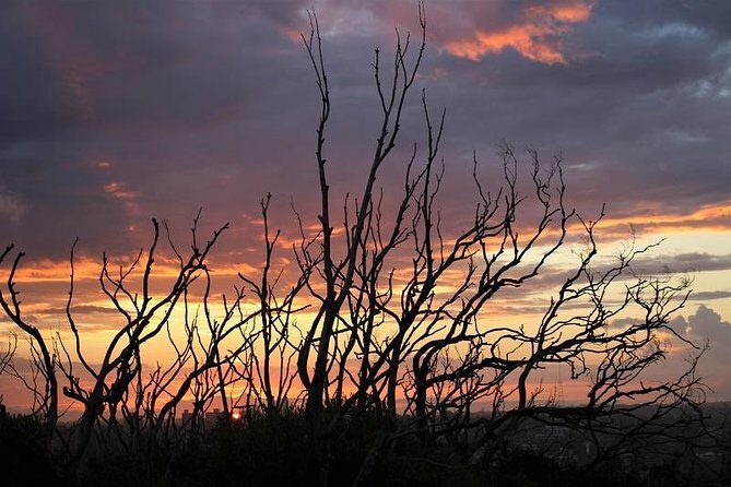 Sydney harbour and ocean beaches, Ku-Ring-Gai National Park - Final Thoughts