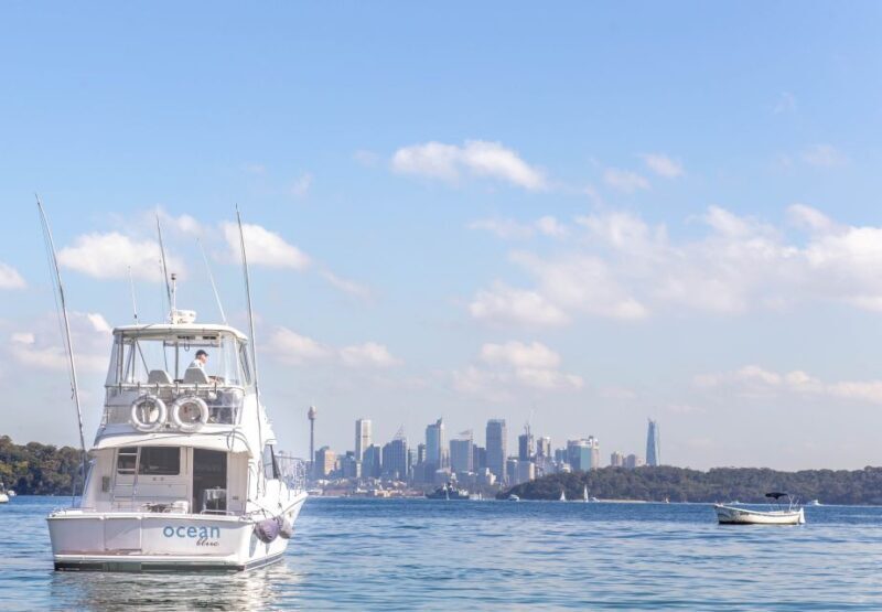 Sydney Harbour: Luxury Multi-Stop Lunch Cruise - Sydney Harbour: Luxury Multi-Stop Lunch Cruise – A Deep Dive