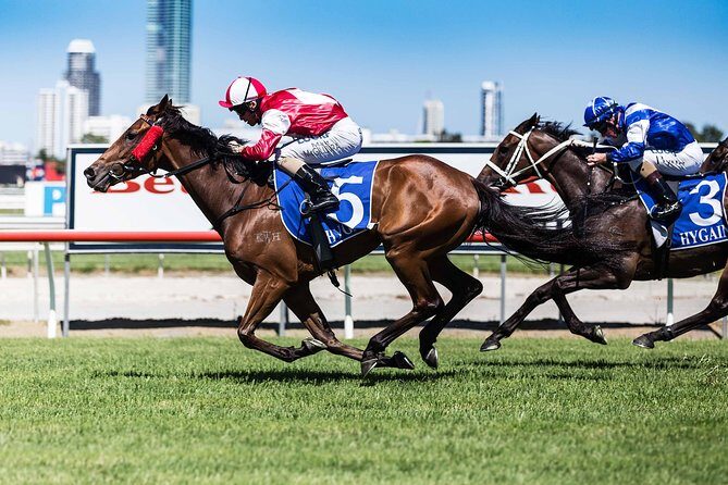 Sydney Harbour Melbourne Cup Cruise - Sydney Harbour Melbourne Cup Cruise: A Fun, Festive Way to Celebrate the Race